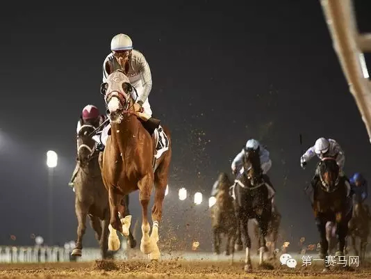 “加州铬”，图片来源网络。