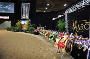 世界阿拉伯马选美的“春节晚会”