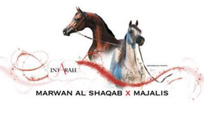 精液来自世界最优秀阿拉伯马种公Marwan Al Shaqab，卵子来自世界冠军母马Majalis