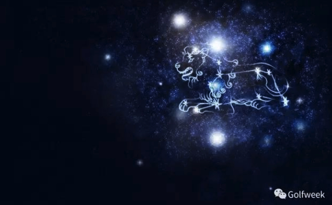 狮子座：狮子是兽中之王