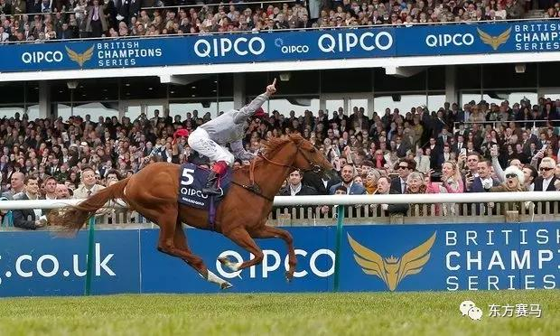 ▲图/Alan Crowhurst，2016年二千坚尼锦标赛冠军‘天文金骏’（Galileo Gold）