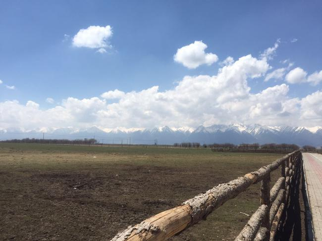 祁连山生态牧场