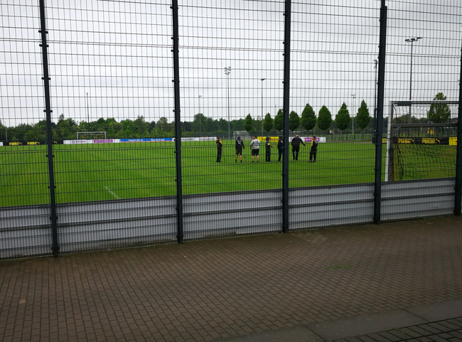 工作人员在维护草坪