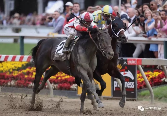 ‘云计算*’（左），‘经典帝国*’（右）