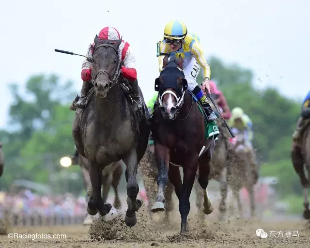 ‘云计算*’（左），‘经典帝国*’（右）