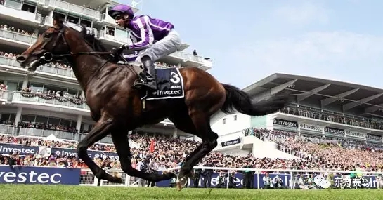 2012年德比冠军“帝皇城堡”（Camelot）