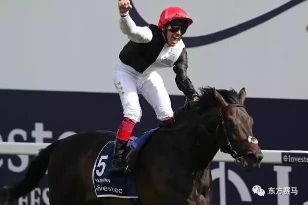 2015年德比冠军“金号角”（Golden Horn）