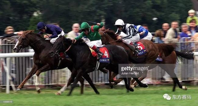 2000年日蚀锦标赛冠军‘巨人长堤’（Giant‘s Causeway，左）