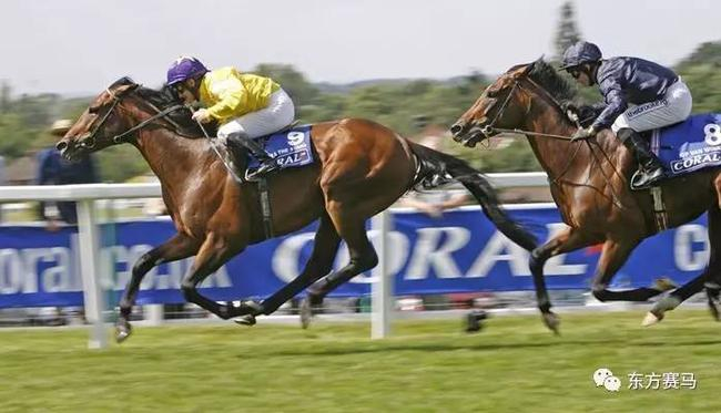 2009年日蚀锦标赛冠军‘海都之星’（Sea the Stars，左）