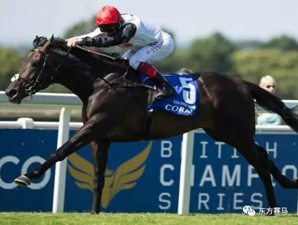 2015年日蚀锦标赛冠军‘金号角’