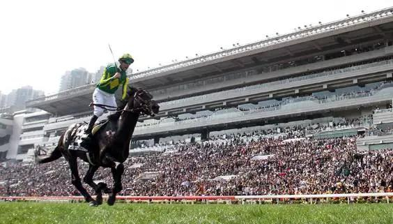 莫雷拉策骑“里见皇冠”摘下浪琴表香港瓶。