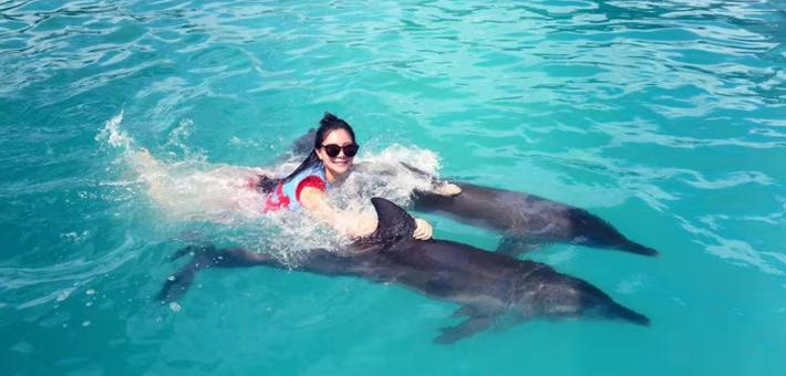 何姿水中与海豚零距离互动