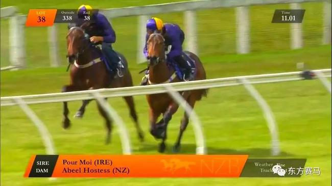 ‘大谦战狼’（右）