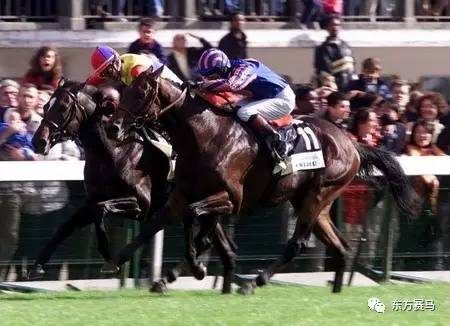 Pinterest，‘望族’（右）