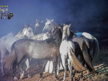 气势恢宏史诗大秀《特洛伊》