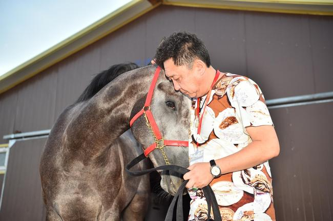 于谦与爱驹大谦世界