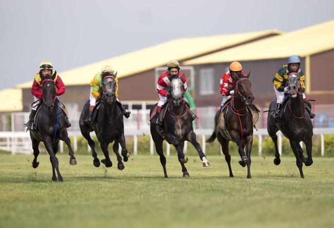 大谦系列战马合照