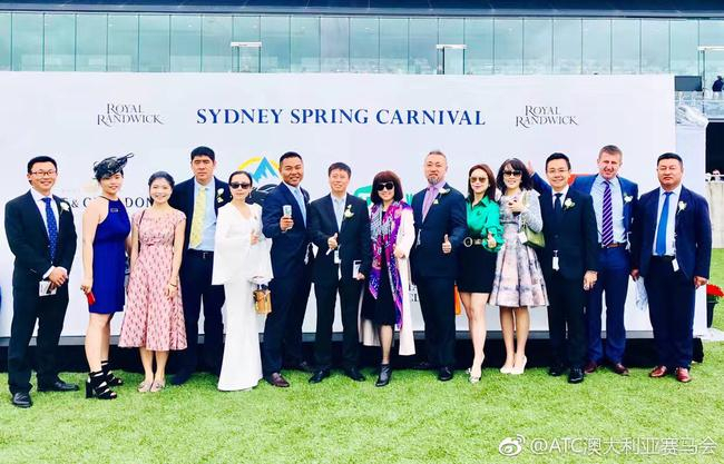 玉龙马业高层携中国马主亮相巅峰赛场