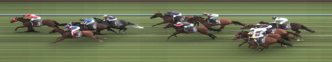 巅峰赛马匹冲刺图