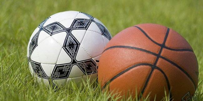 足球世界第一?专家列5点原因力证篮球比足球