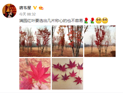 唐韦星赛前发微博，寻找称心枫叶