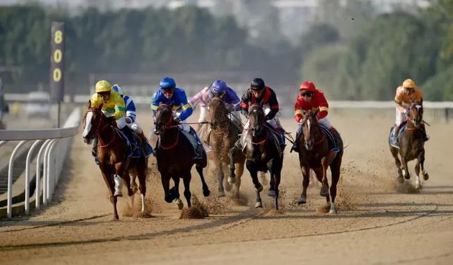 武汉速度赛马公开赛