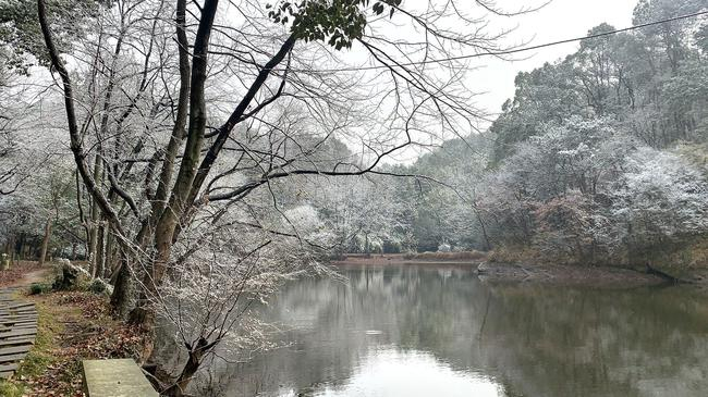 冬雪景象
