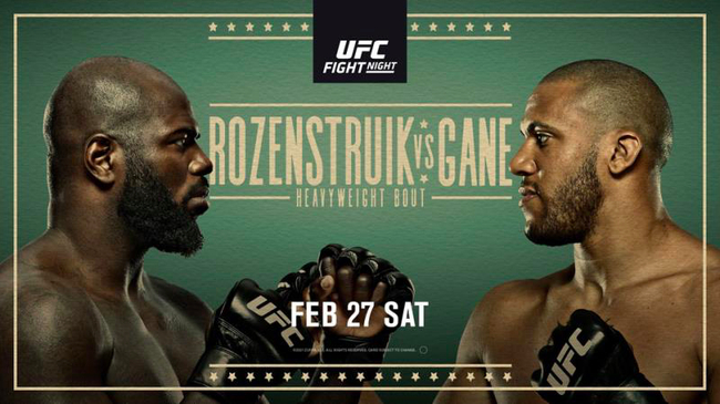 UFC格斗之夜：罗森斯特鲁克 VS 盖恩
