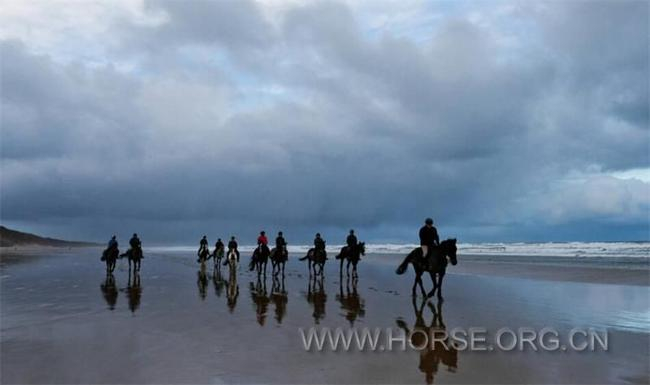 调研组一行对”海南马文化特色小镇”项目的落地区域进行了实地考察踏勘