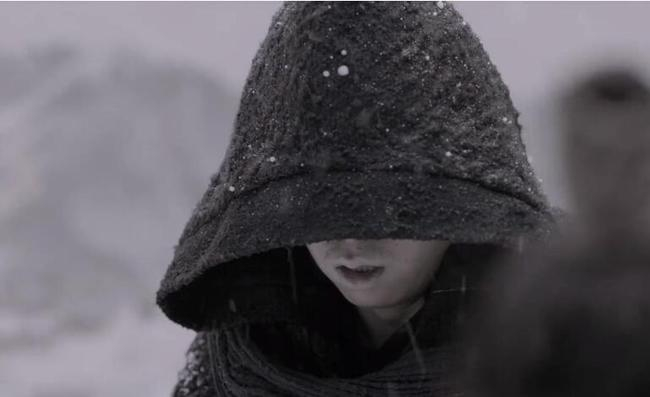 苦荷的扮演者是谁还不知道