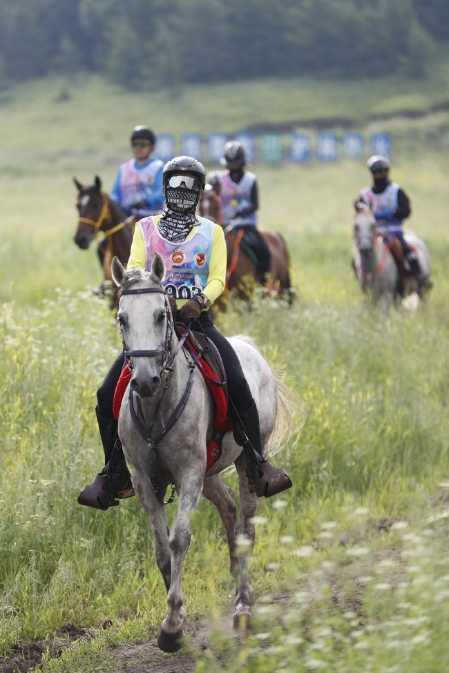 2026中国马术协会40公里、80公里耐力赛在河北丰宁落幕