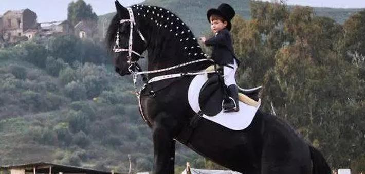 萌娃与马的灵气互动