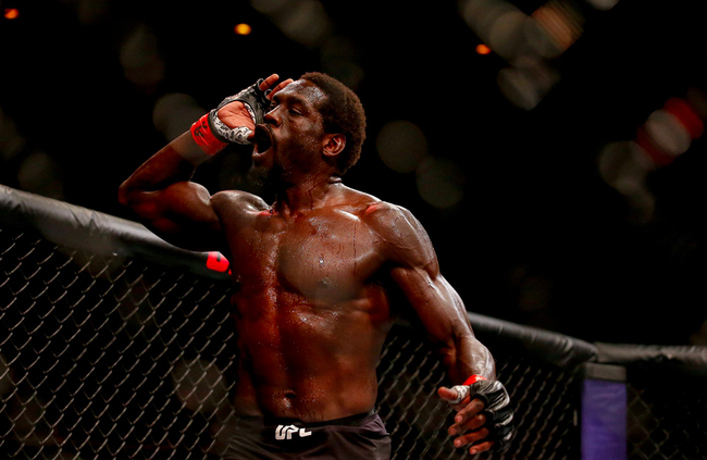 杰瑞德-坎农尼尔在UFC赢下过多场精彩的对决