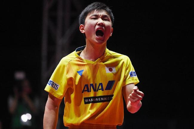 张本智和勇夺2018国际乒联巡回赛总决赛男单冠军