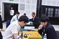 天府杯首轮柯洁负金志锡 古力胜姜东润晋级
