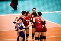 日本承办女排世锦赛赤字20亿 日媒:让中国办吧