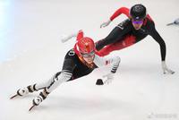 短道速滑世锦赛因肺炎疫情延期 原定3月在韩举行