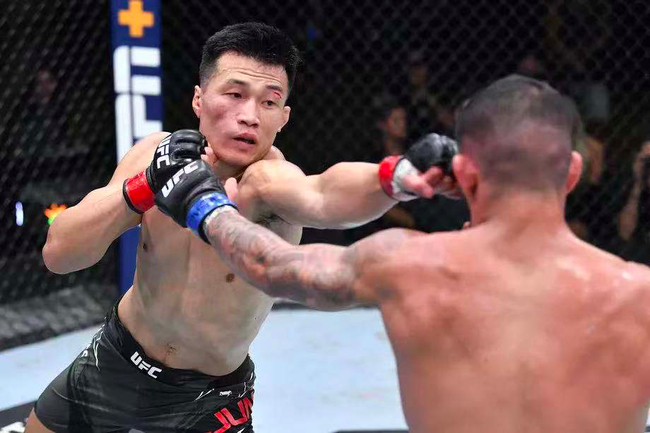 郑赞成在上周末UFC赛事的头条大战中击败了伊盖