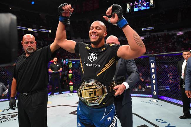 盖恩击败刘易斯成为了UFC重量级临时冠军