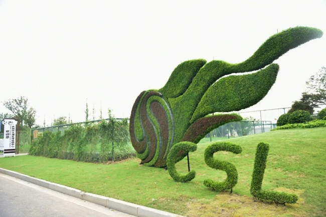 中国足球的顶尖-中超联赛都能被肆意分割