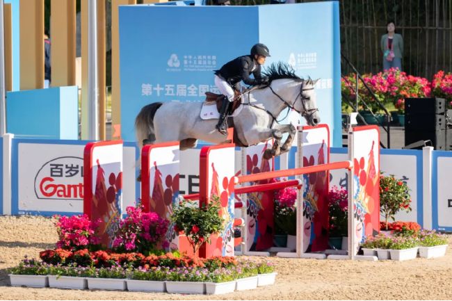 张玉祥&MC Queen（马主：沃帕·夏克加）在第十五届全运会中