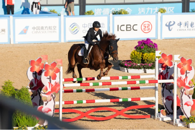 巫辉&Qatar卡塔尔（马主：史琪）在第十五届全运会中