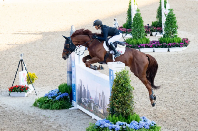 巫辉&Qatar卡塔尔（马主：史琪）在第十五届全运会中