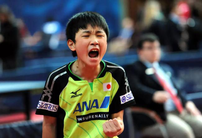 张本智和从小征战日本国内各个赛场，从小学一年级开始连续 6年获得全日本选手权小学生比赛冠军