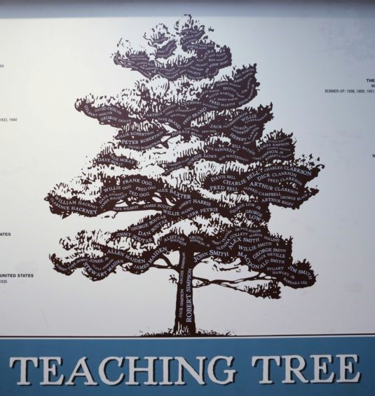 卡奴斯蒂高尔夫俱乐部“教育之树”