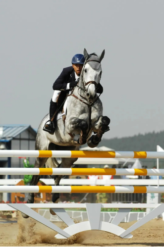 天星调良马术执行董事史琪在2005年和2009年全运会中