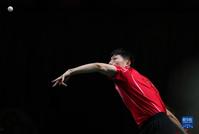 世乒赛马龙赢德比晋级四强 中国女单女双皆遭败仗