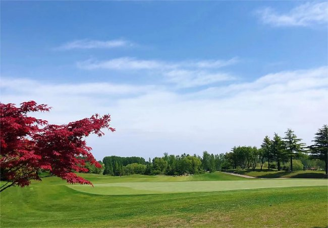 青岛华山国际乡村俱乐部