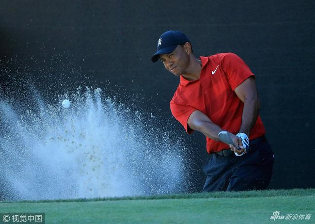 老虎伍兹回归引入瞩目