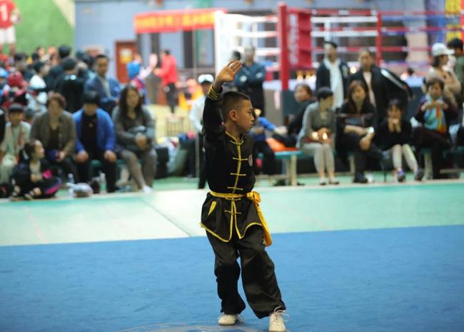 武术比赛精彩瞬间